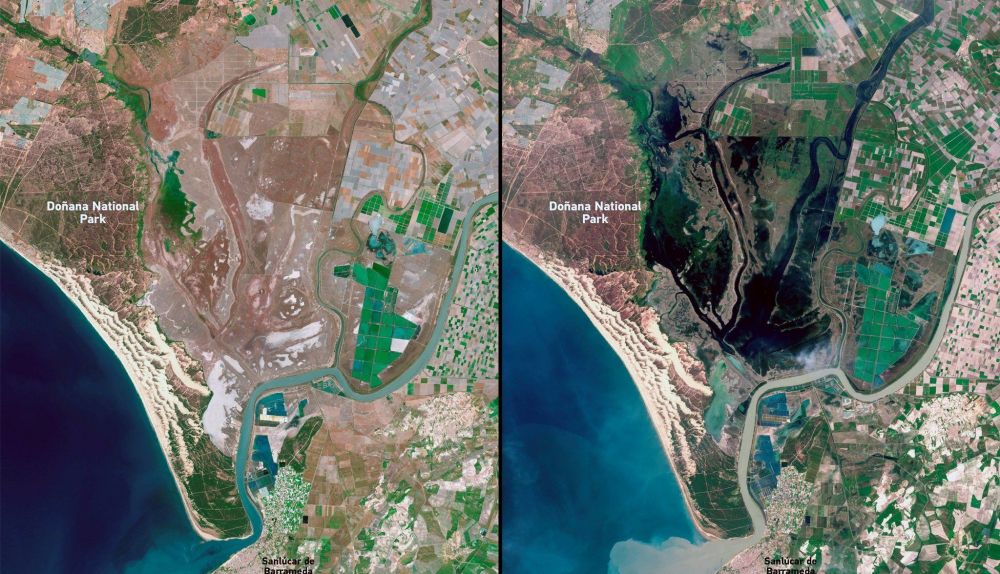 doñana satelite