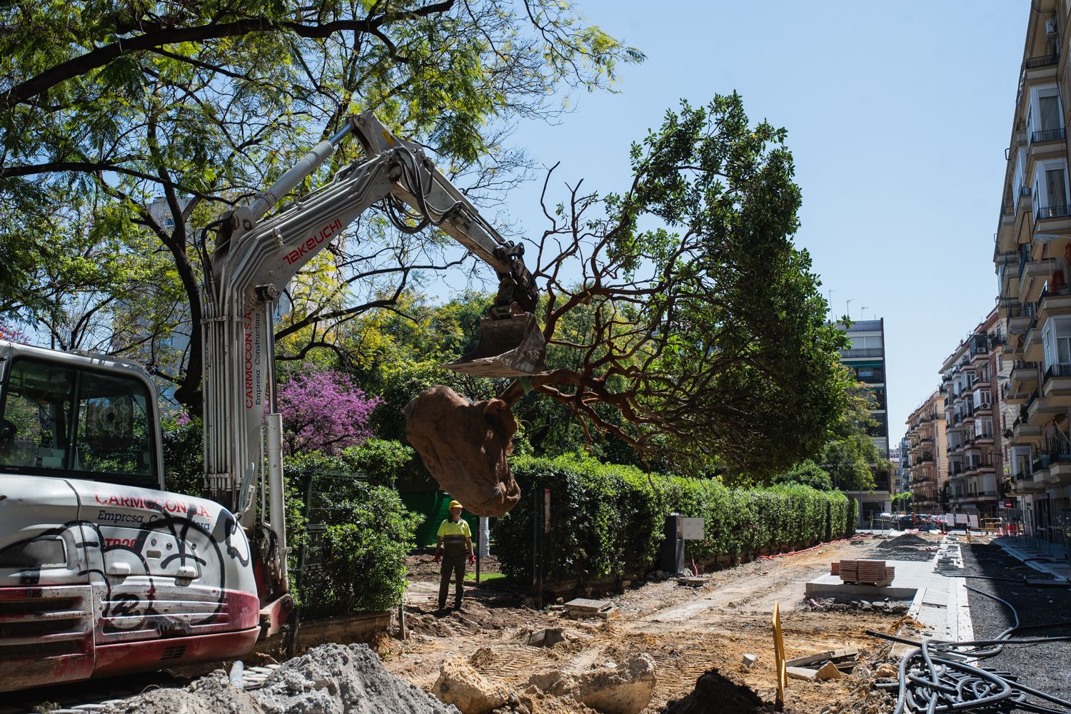 La tala de árboles en los jardines de Manuel Ferrand, donde se ubica el parque infantil, en Los Remedios.