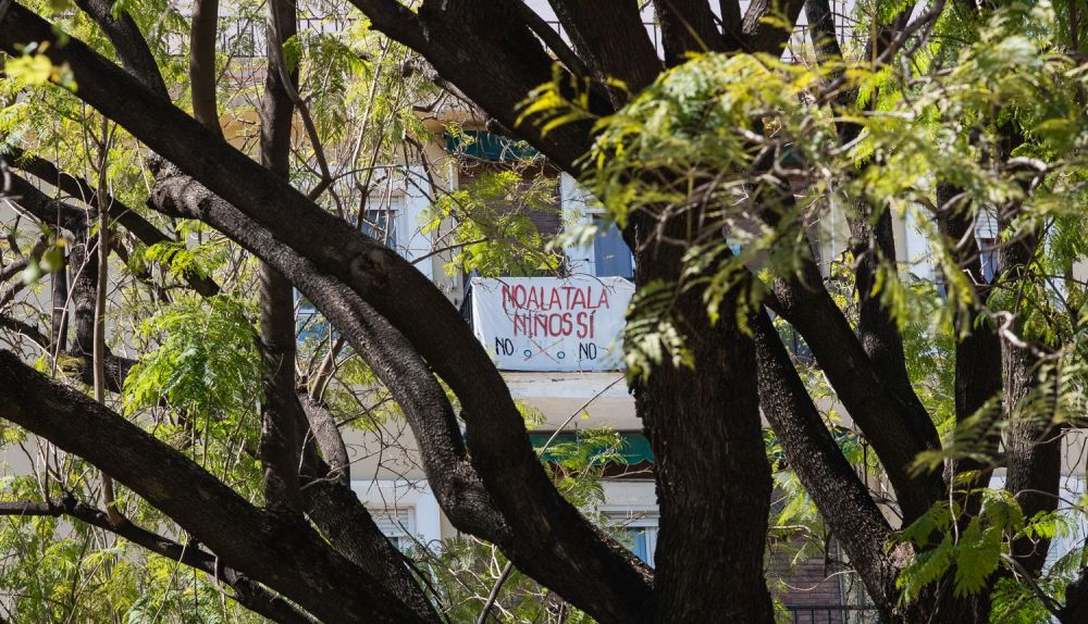 TALA ARBOLES PARQUE LOS REMEDIOS CIGARRERA 13