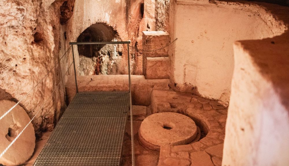 MOLINO MINA ALCALA GUADAIRA 5