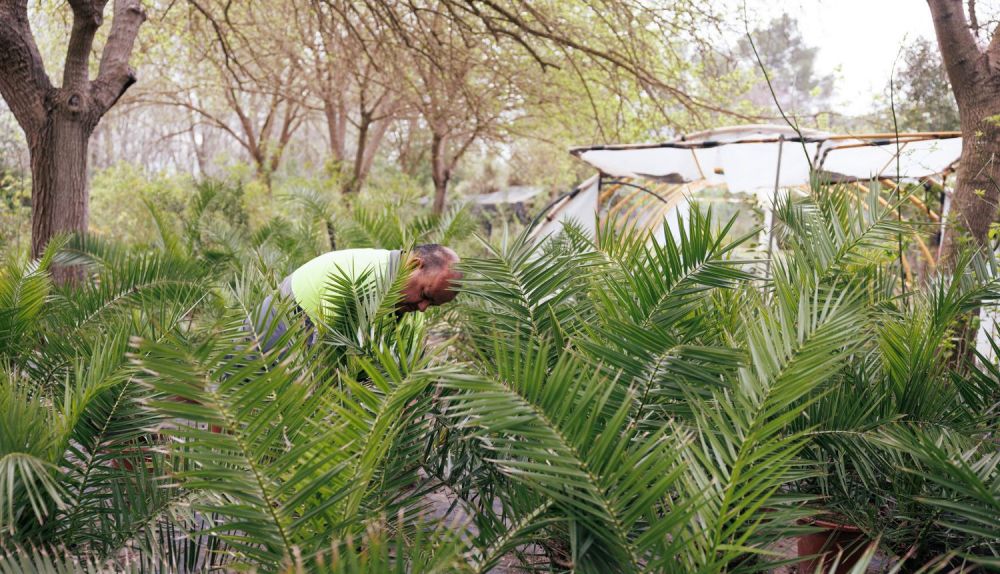 Parque Santa Teresa  24