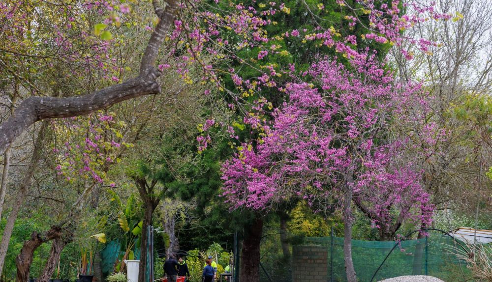 Parque Santa Teresa  28