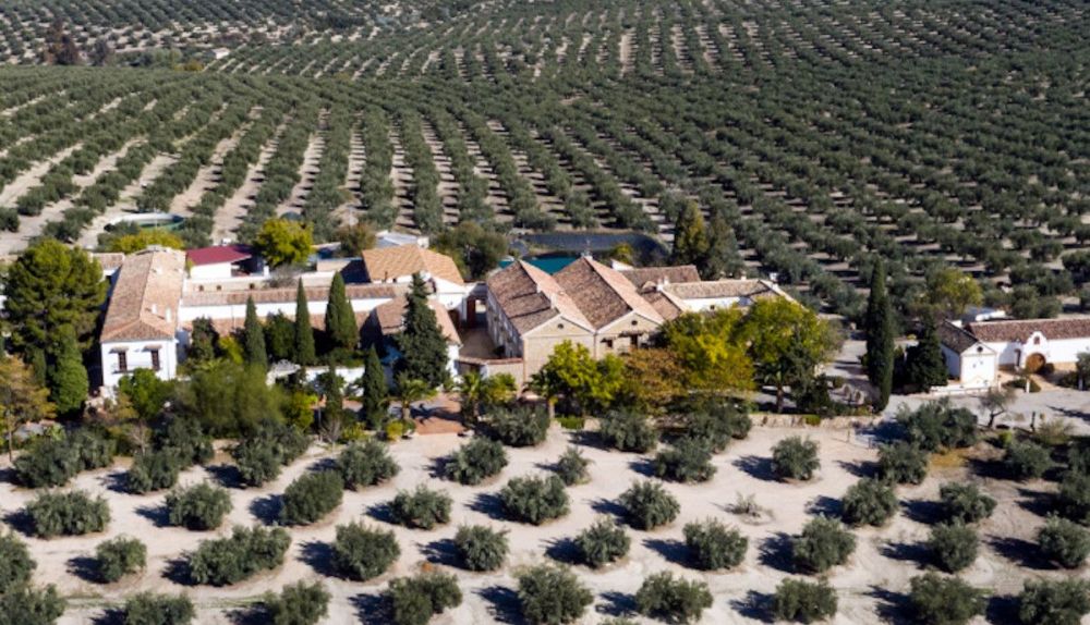 Cortijo de El Madroño.