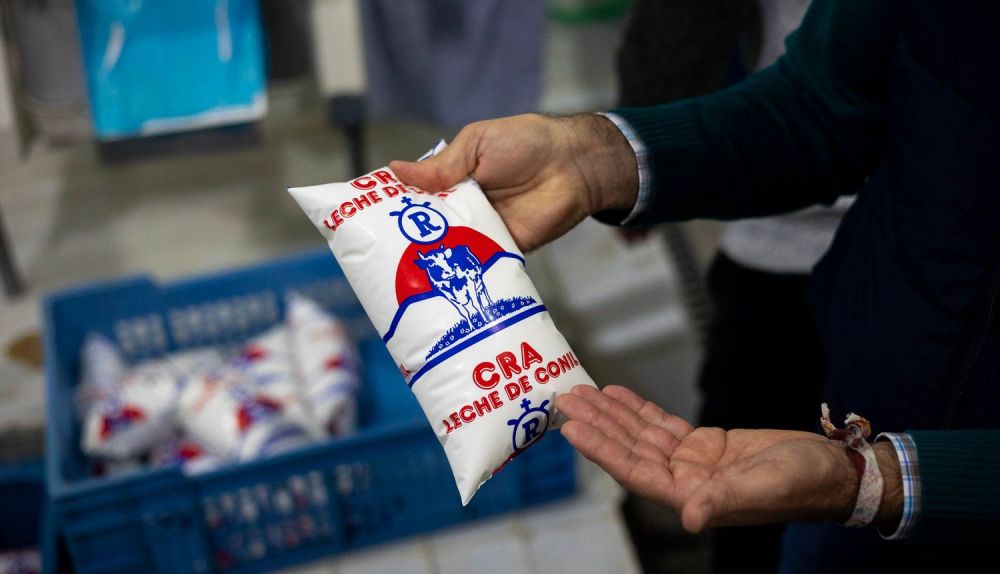 GASTRONOMIA CONIL LECHE CRA 36