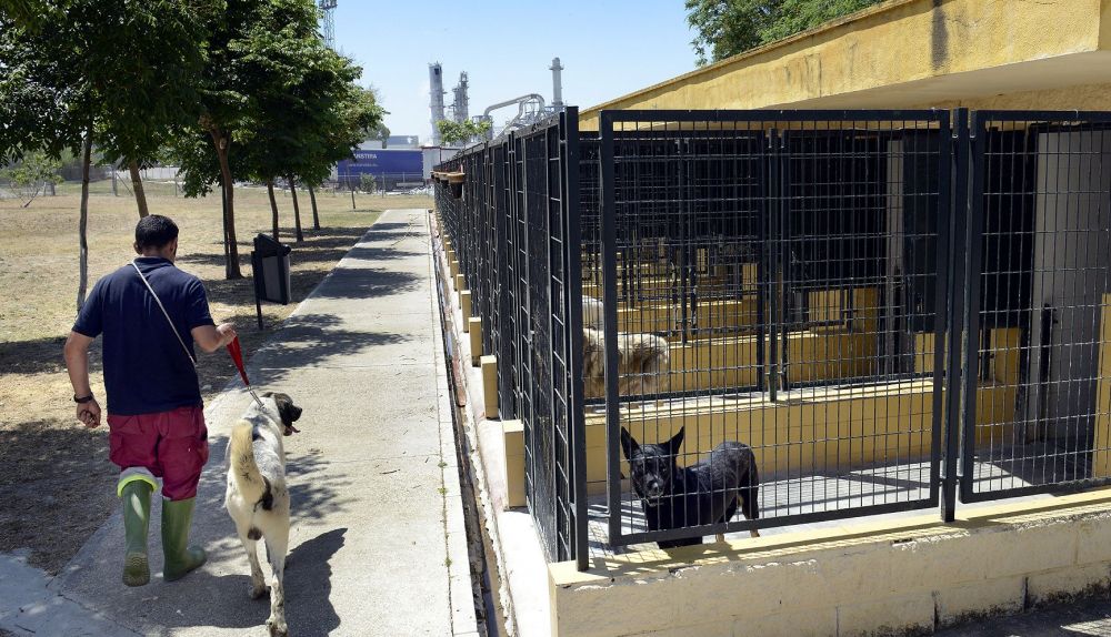 Centro Municipal de Protección Animal Jerez