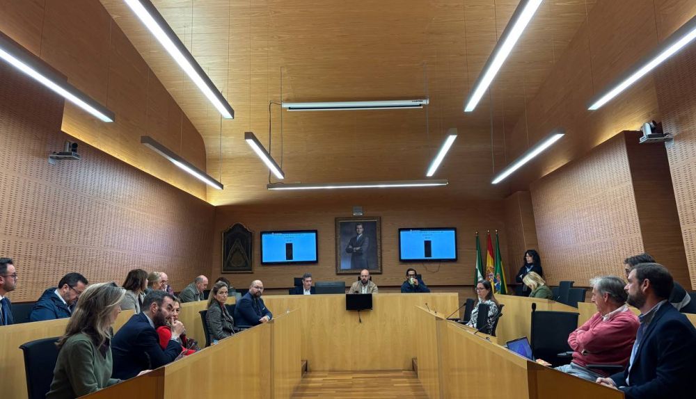 Pleno de El Puerto