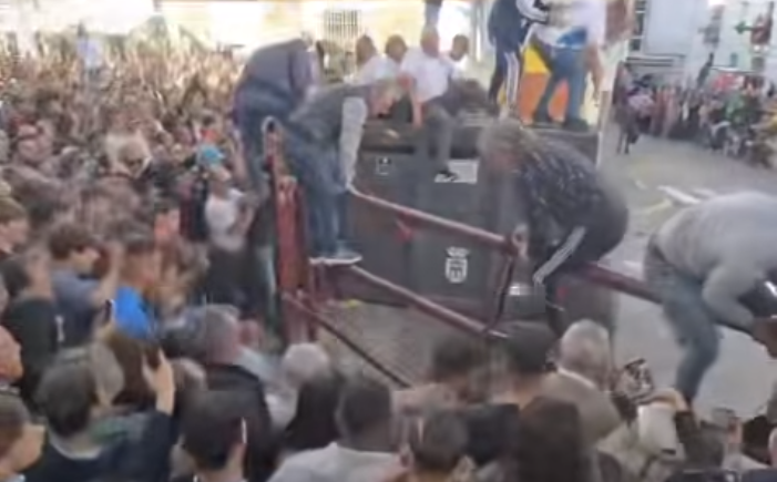 El Toro del Aleluya de Arcos, poco antes de escaparse y dejar tres heridos.