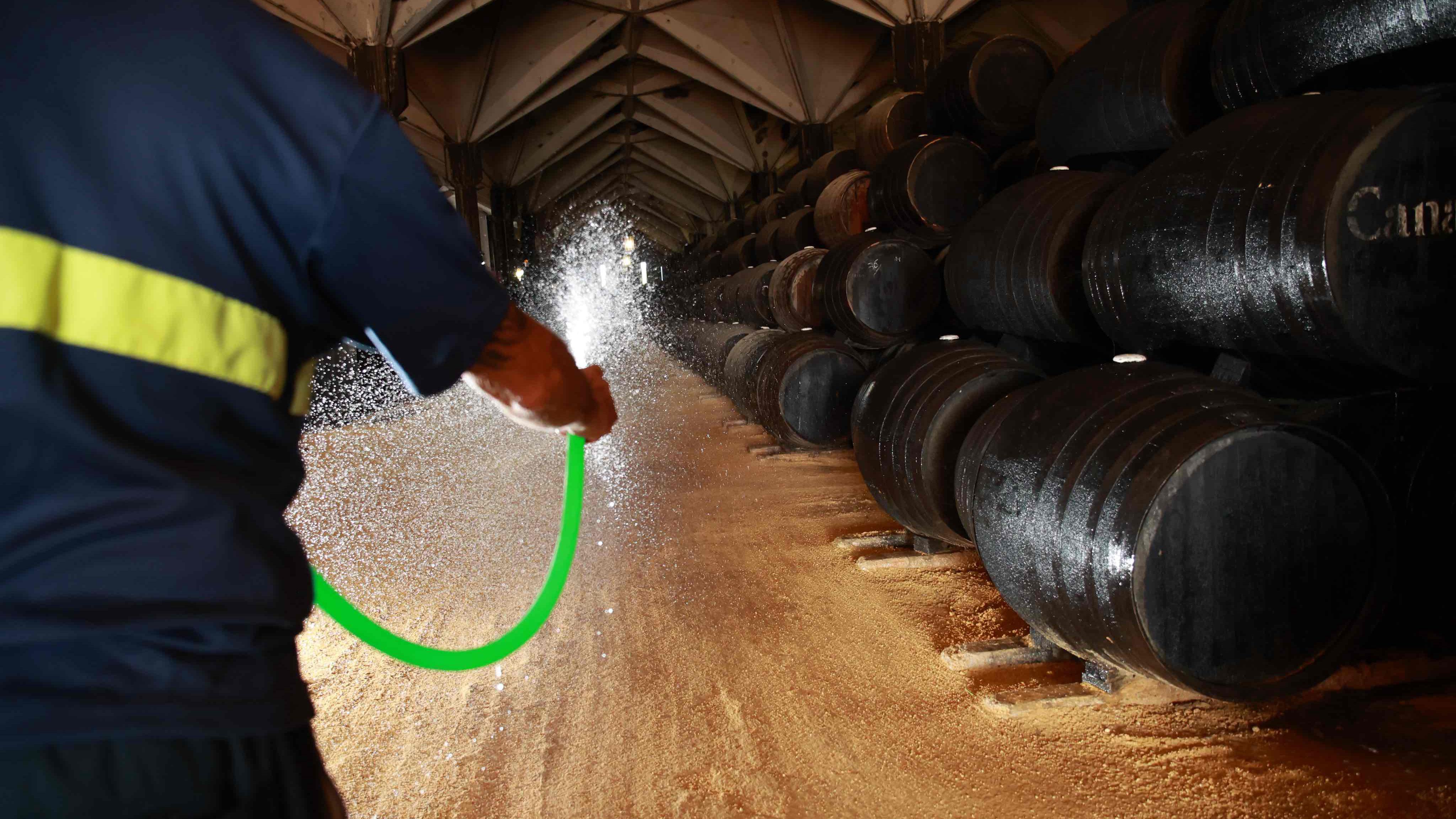 Trabajo de refrescado de botas en el interior de una bodega de Jerez.