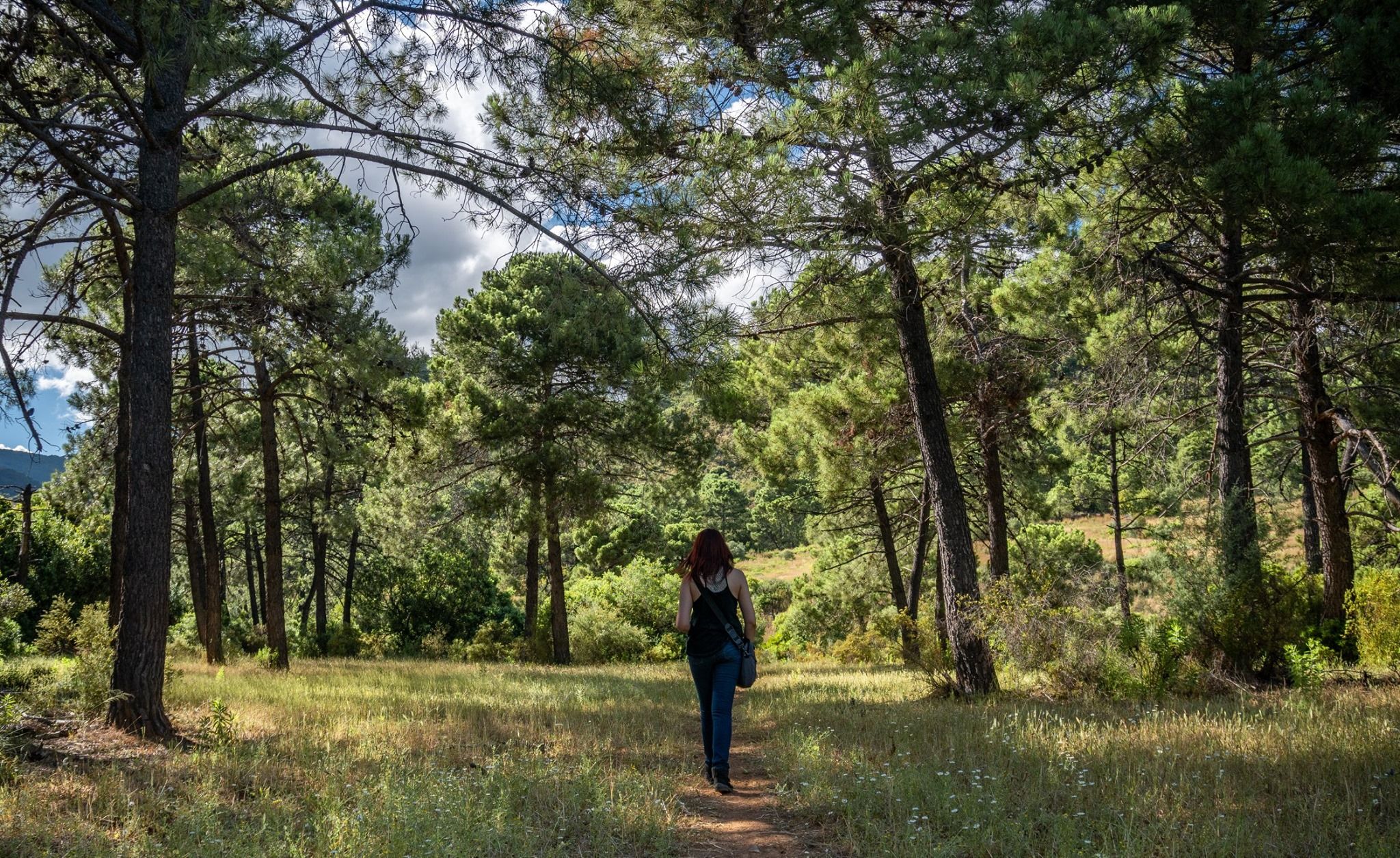 El Sendero de las Libélulas, en Málaga.