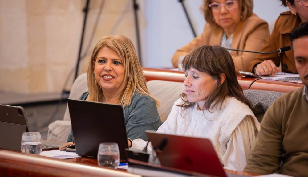 PLENO MUNICIPAL ABRIL 2025   39