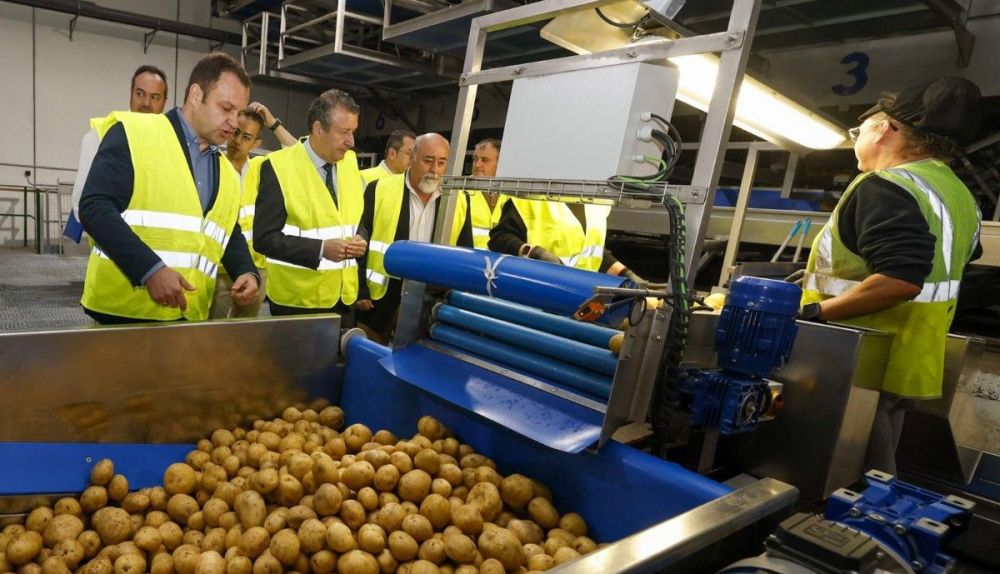 Un momento del recorrido por la fábrica de patatas.