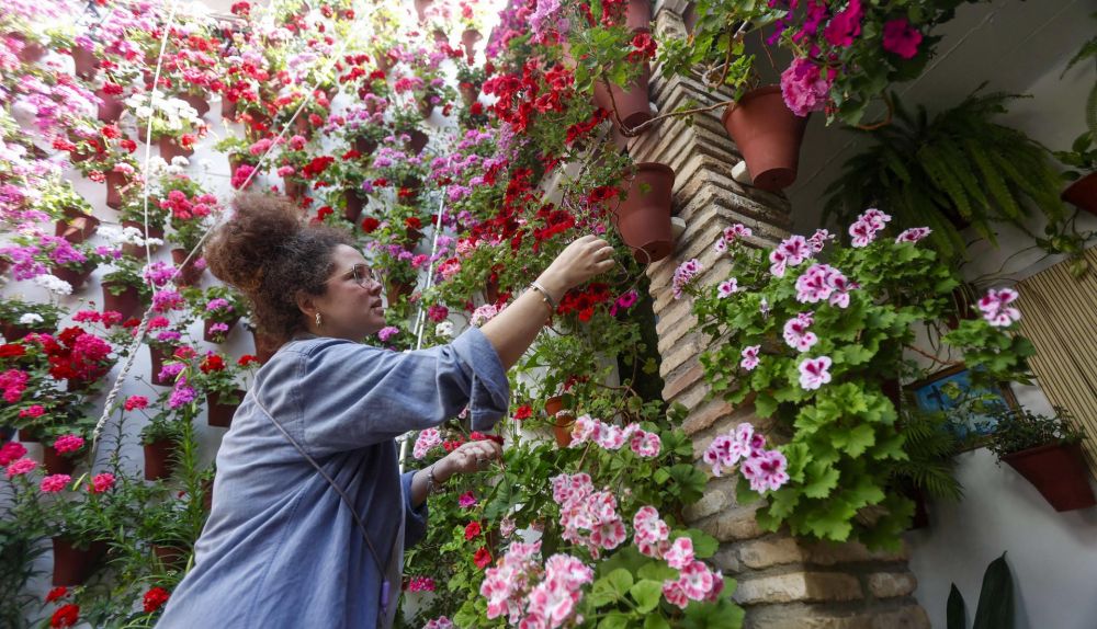 CÓRDOBA, 28/04/2025.- Tamara Reyes prepara su patio del barrio de San Basilio para el concurso de patios, este lunes, en Córdoba. La ciudad afronta un nuevo Mayo Festivo con un mes entero de celebraciones, entre Cruces, sus Patios Patrimonio de la Humanidad, y el cierre con la Feria, con el gran reto de preservar su identidad ante los crecientes problemas de masificación por el auge turístico y la necesidad de seguridad que generan eventos con gran afluencia de público. EFE/Salas