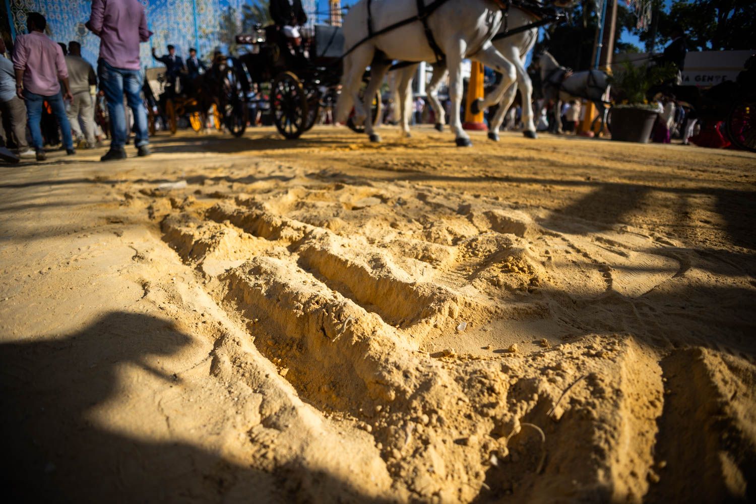 El albero de la Feria de Jerez este 2025. El albero de la Feria de Jerez este 2025.