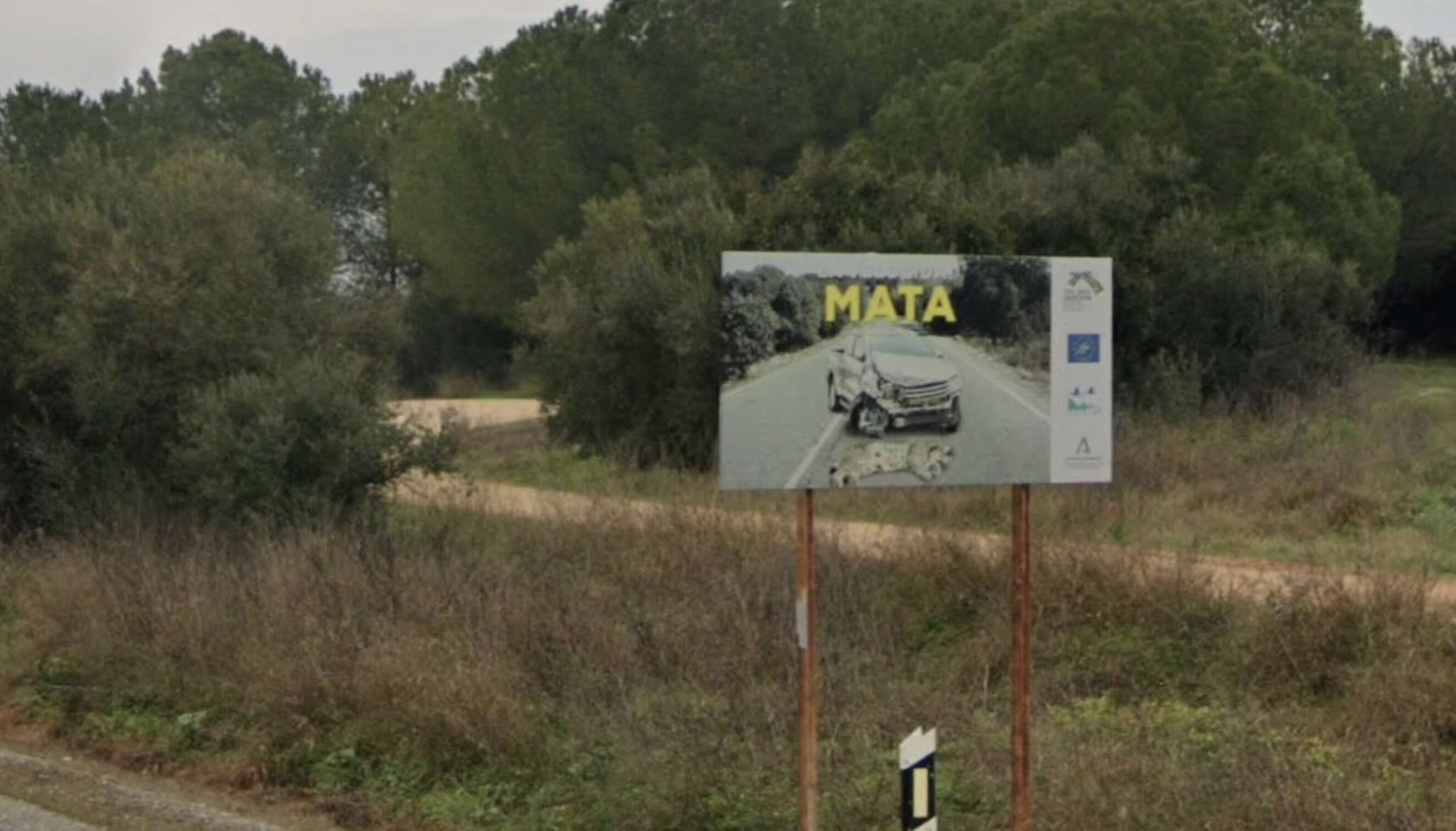 Un cartel con un lince atropellado
