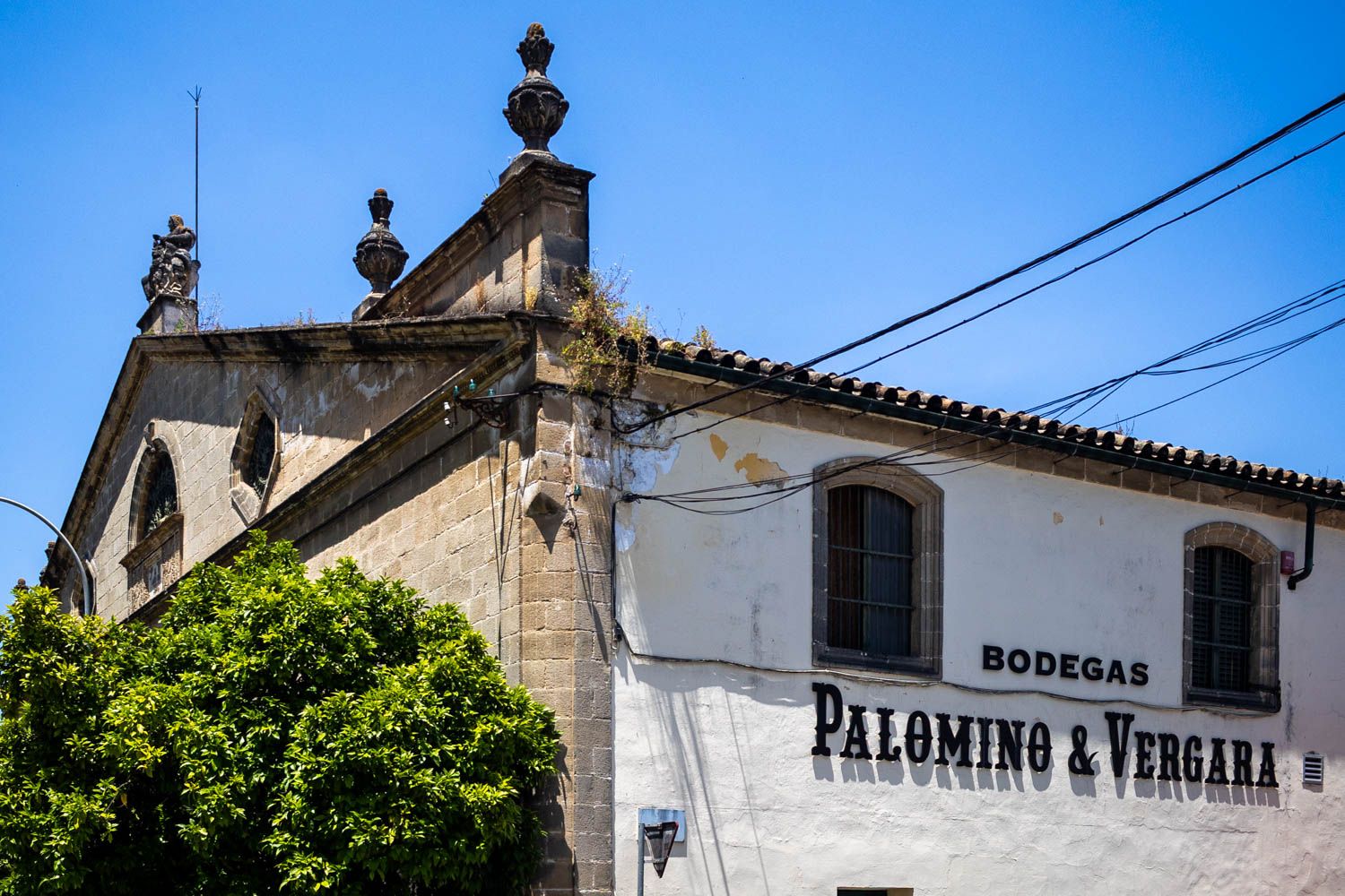 Bodegas Palomino & Vergara, décadas después, en las bodegas de Jerez.