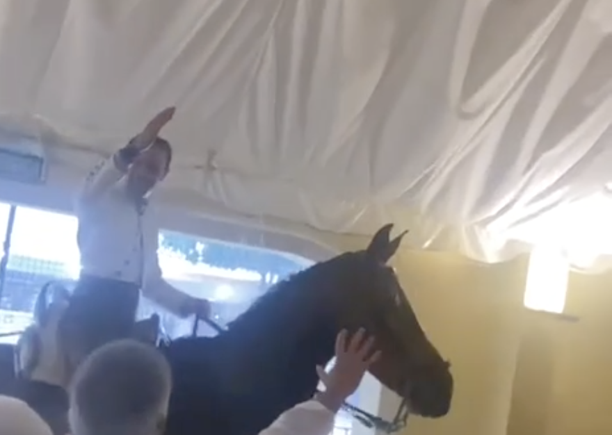 Un caballo entra en una caseta en la Feria de Jerez para refugiarse. Un caballo entra en una caseta en la Feria de Jerez para refugiarse.