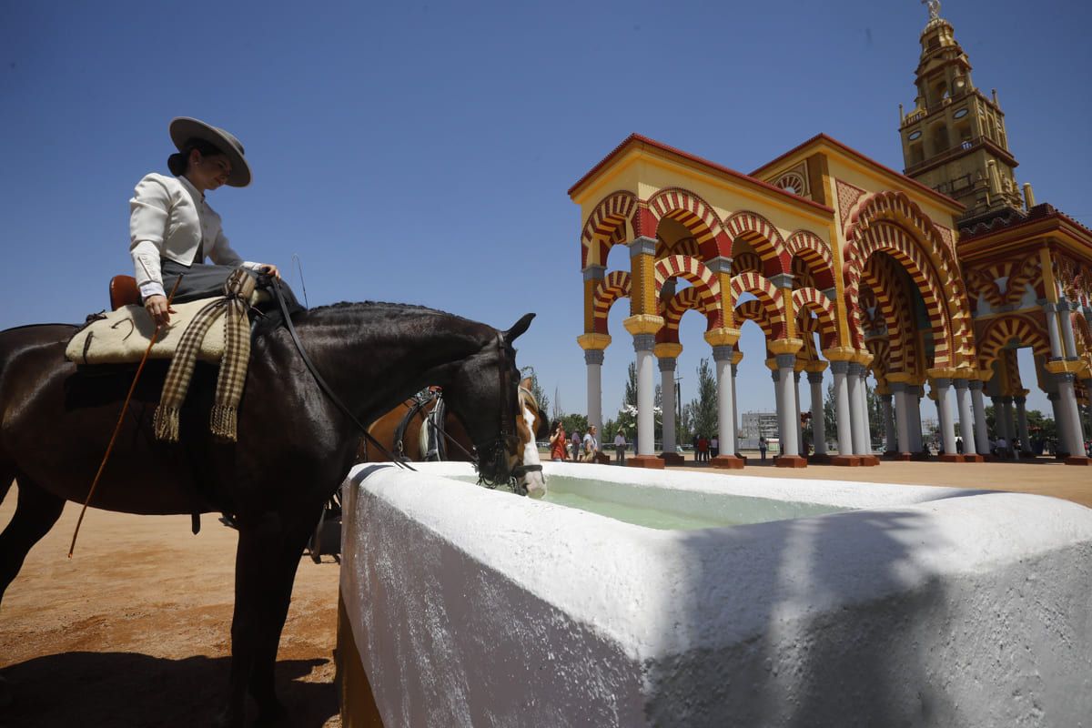 Un caballo bebe agua en la Feria de Córdoba. Un caballo bebe agua en la Feria de Córdoba.