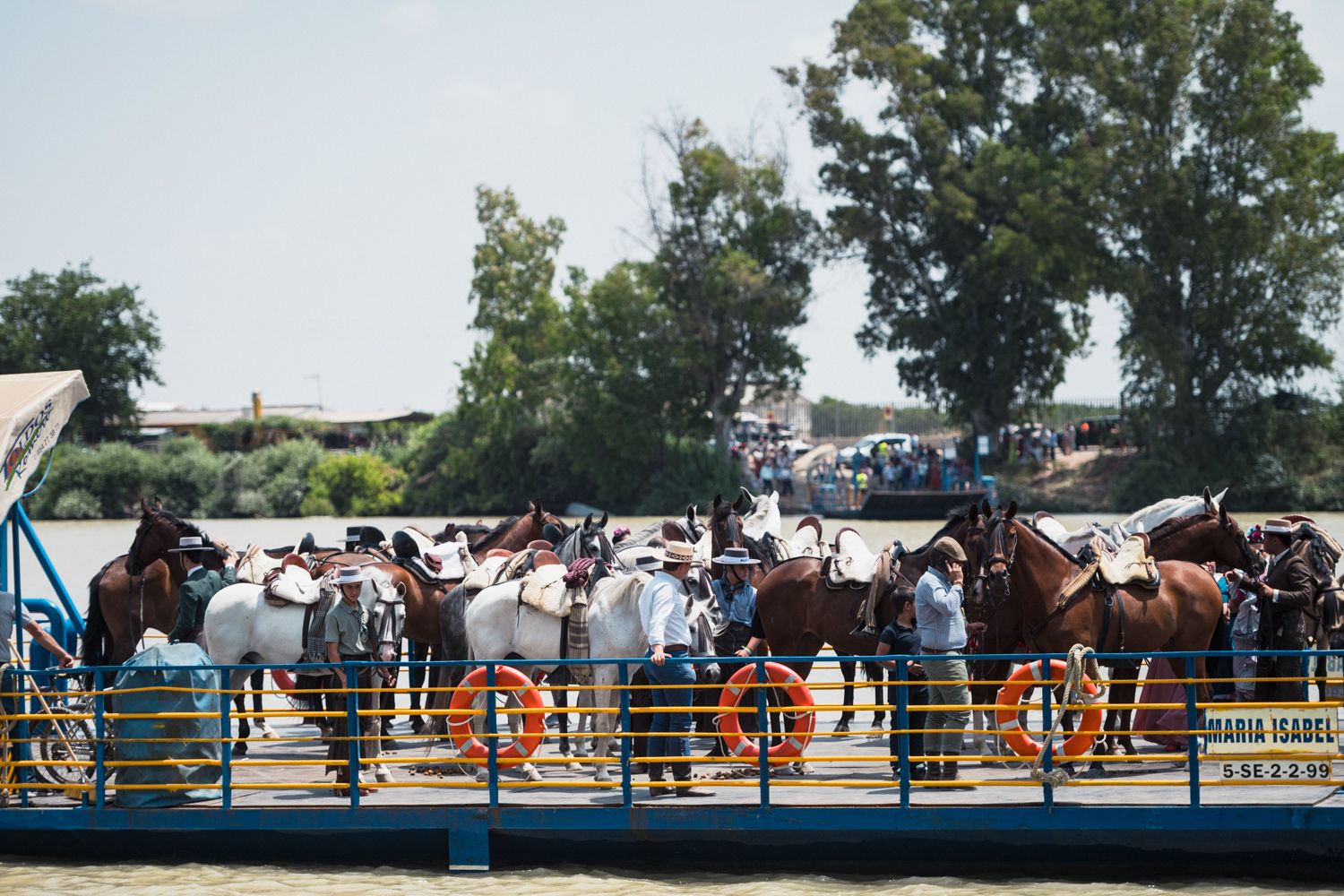 Una barca repleta de caballos de la Hermandad de Alcalá de Gaudaíra.