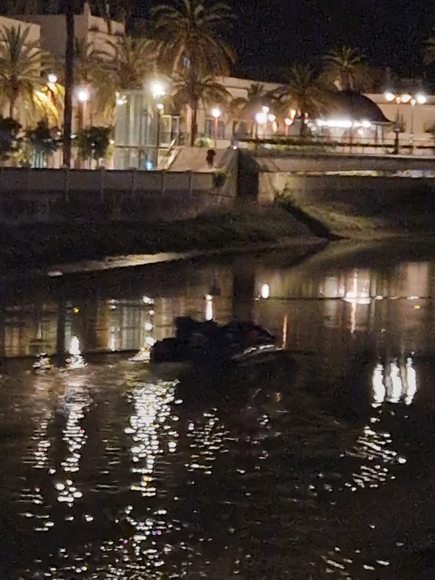 Un momento de la persecución en el río en Chiclana.