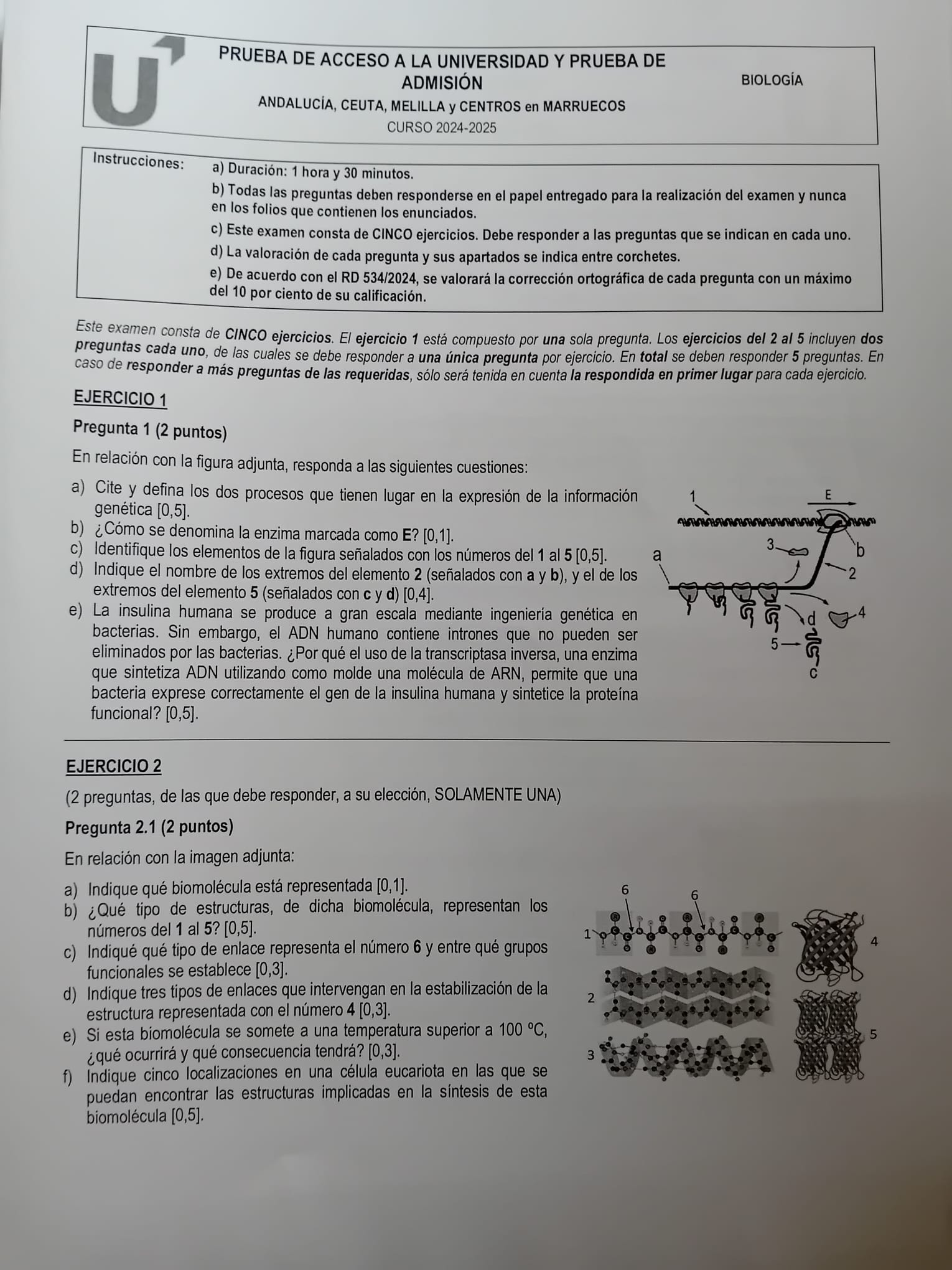El primer ejercicio de Biología de la PAU de Andalucía 2025.