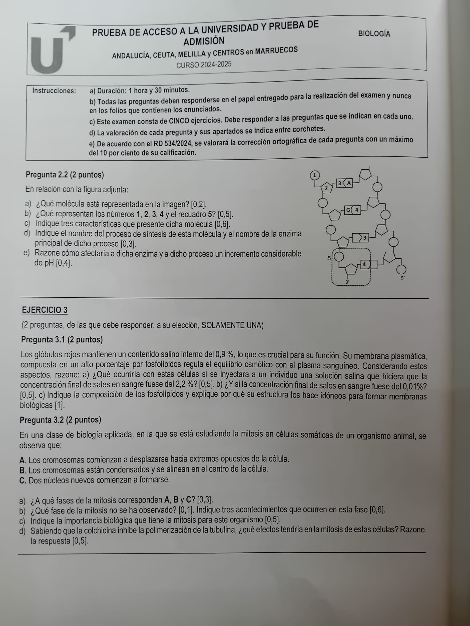 Segunda hoja de Biología 2025.