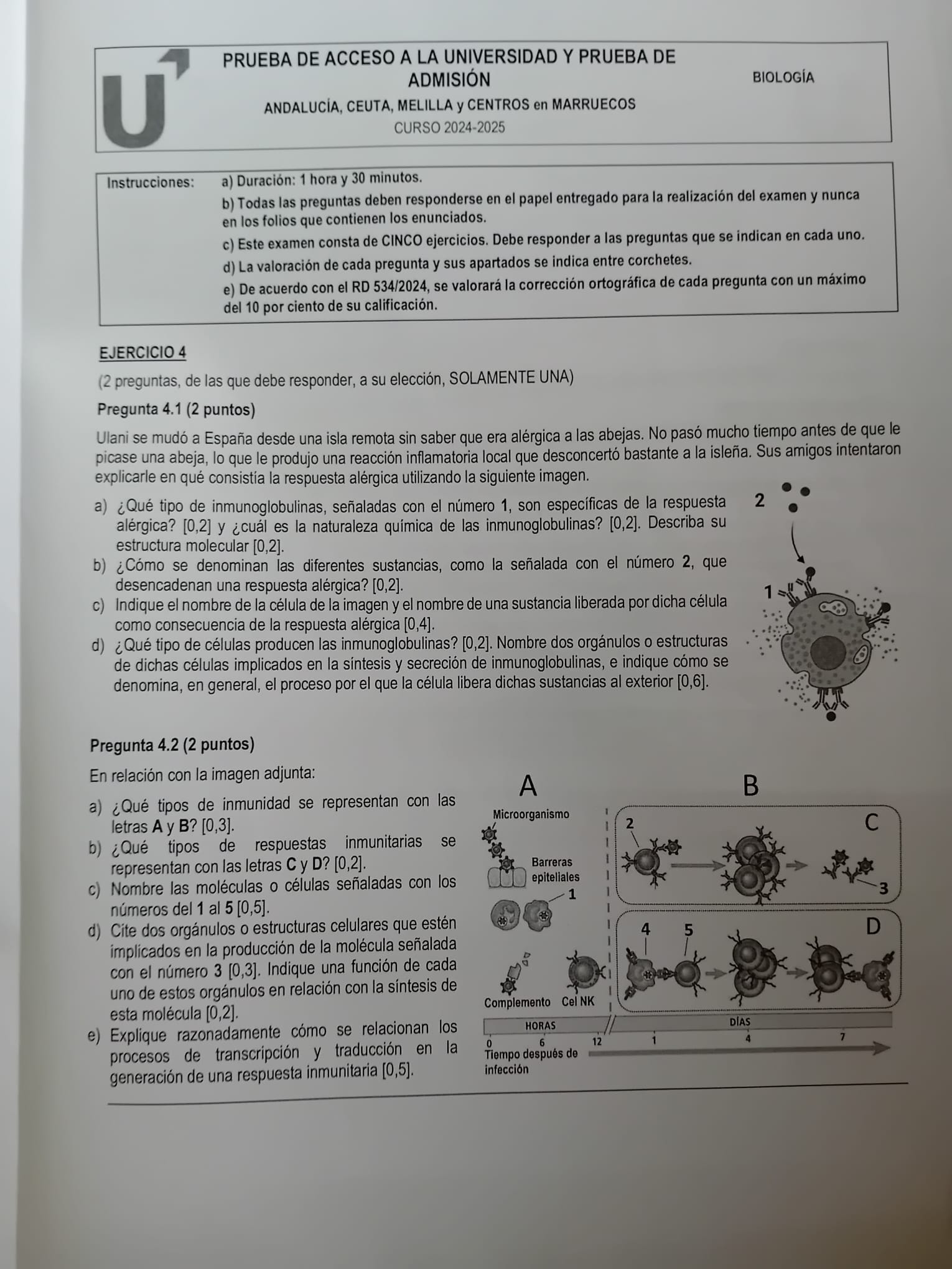 El ejercicio 4 de Biología en la Selectividad andaluza.