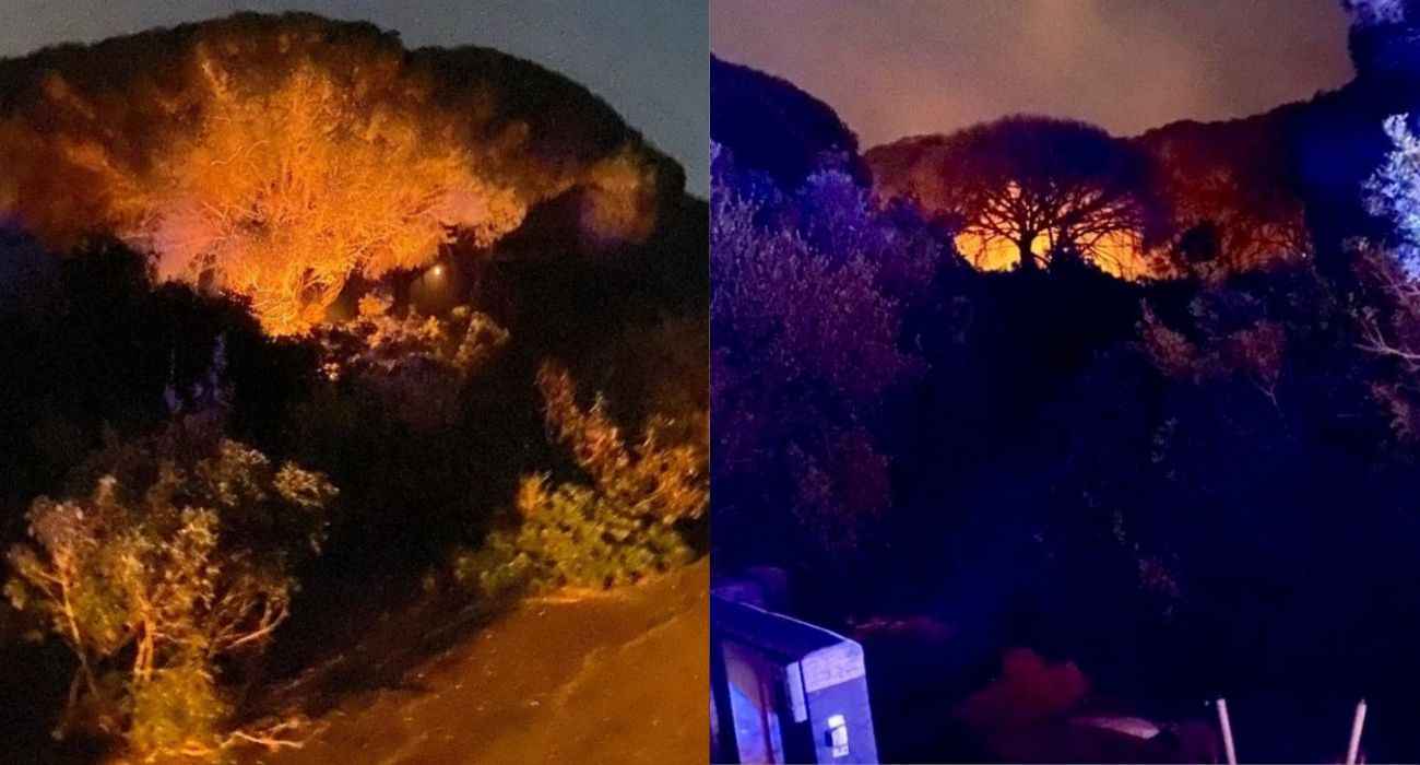 Dos de los focos del incendio en Puerto Real.