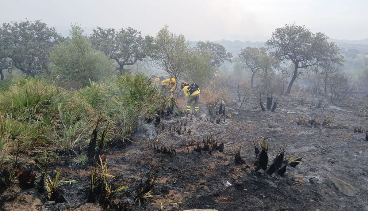 Bomberos, en el incendio de Burguillos.