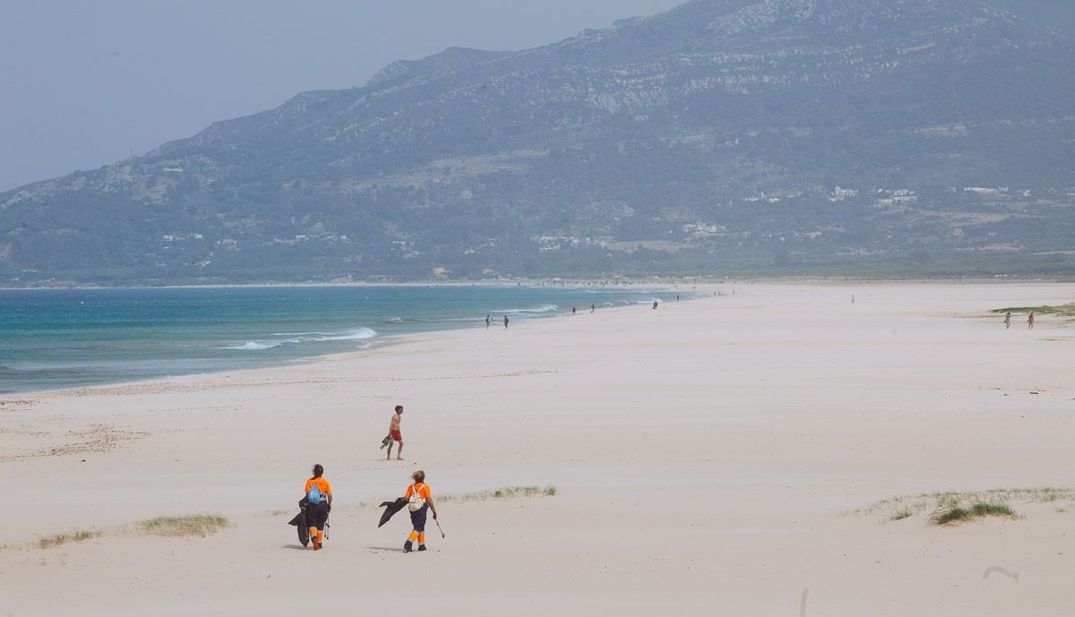 Tarifa Crónica  09