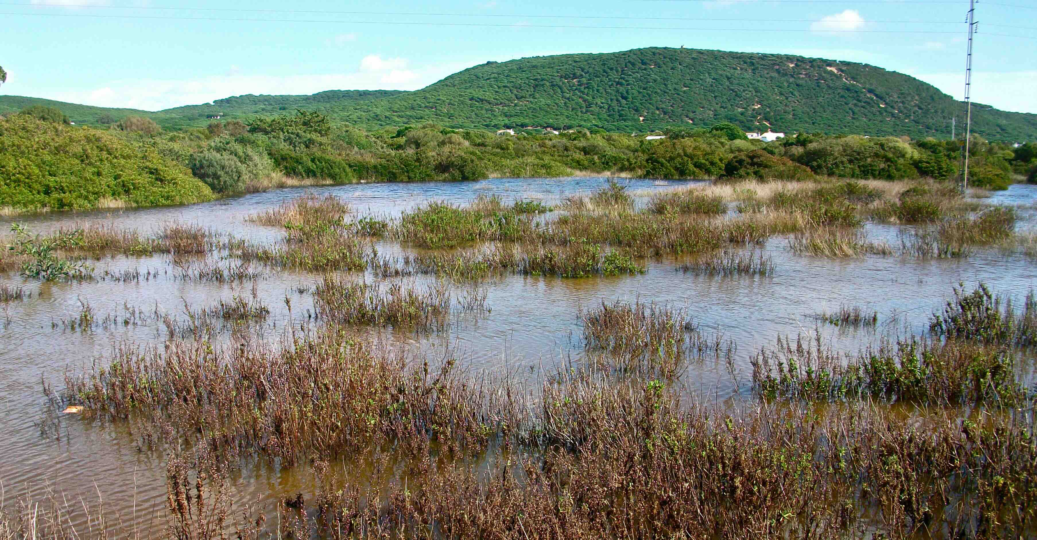 En la imagen, los Llanos aluviales de la Fuente del Madroño y de Trafalgar, ambos colindantes con el Parque Natural de La Breña.