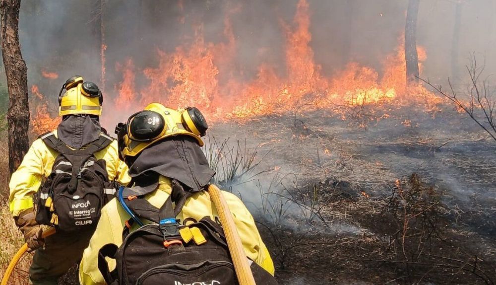 Los bomberos de Infoca, en el incendio de Almonte.