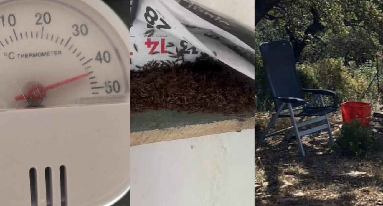 A más de 45 grados, entre insectos y sin medios: estas son las condiciones de trabajo de los vigilantes forestales del Plan Infoca.