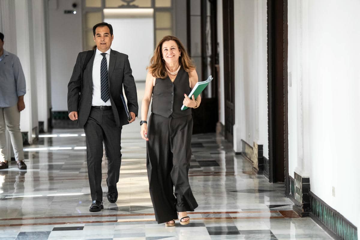María del Carmen Castillo, consejera de Educación, este miércoles.