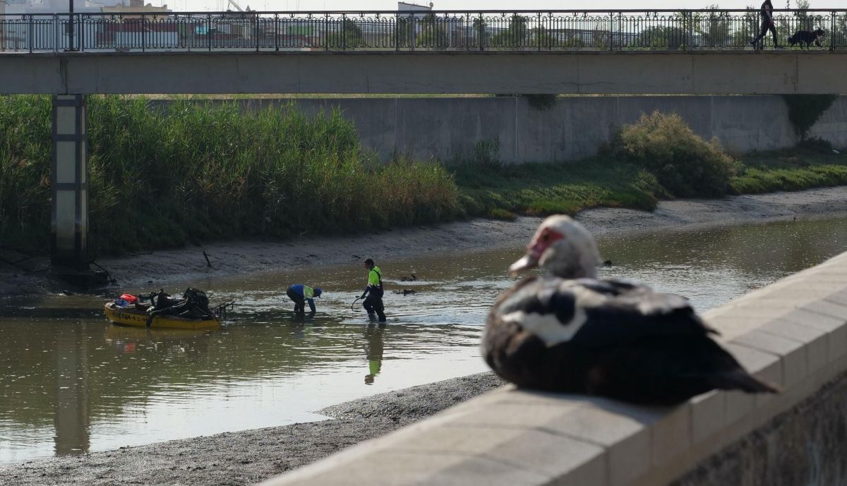 Trabajos de limpieza en el río Iro