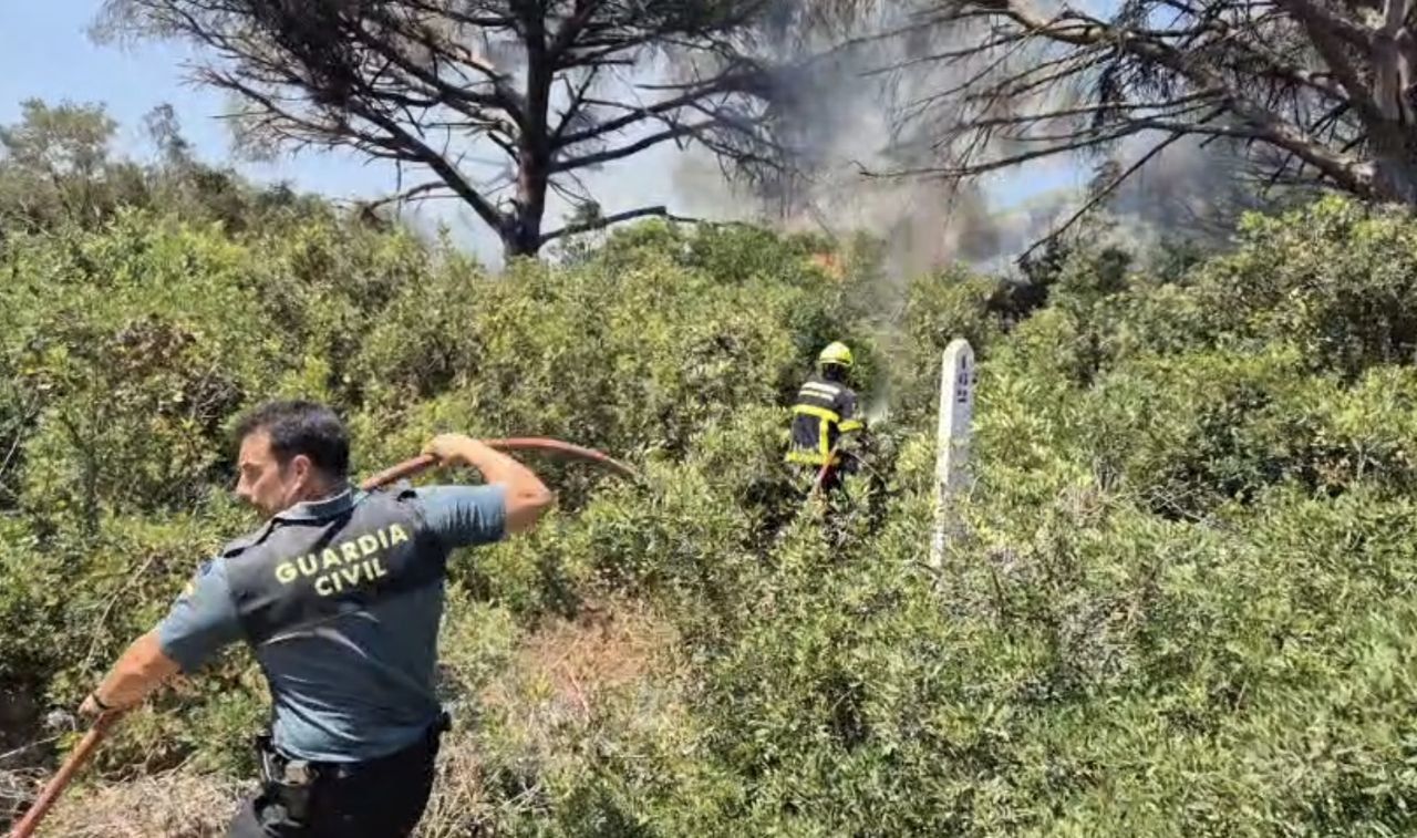 Incendio en los pinares de Roche.