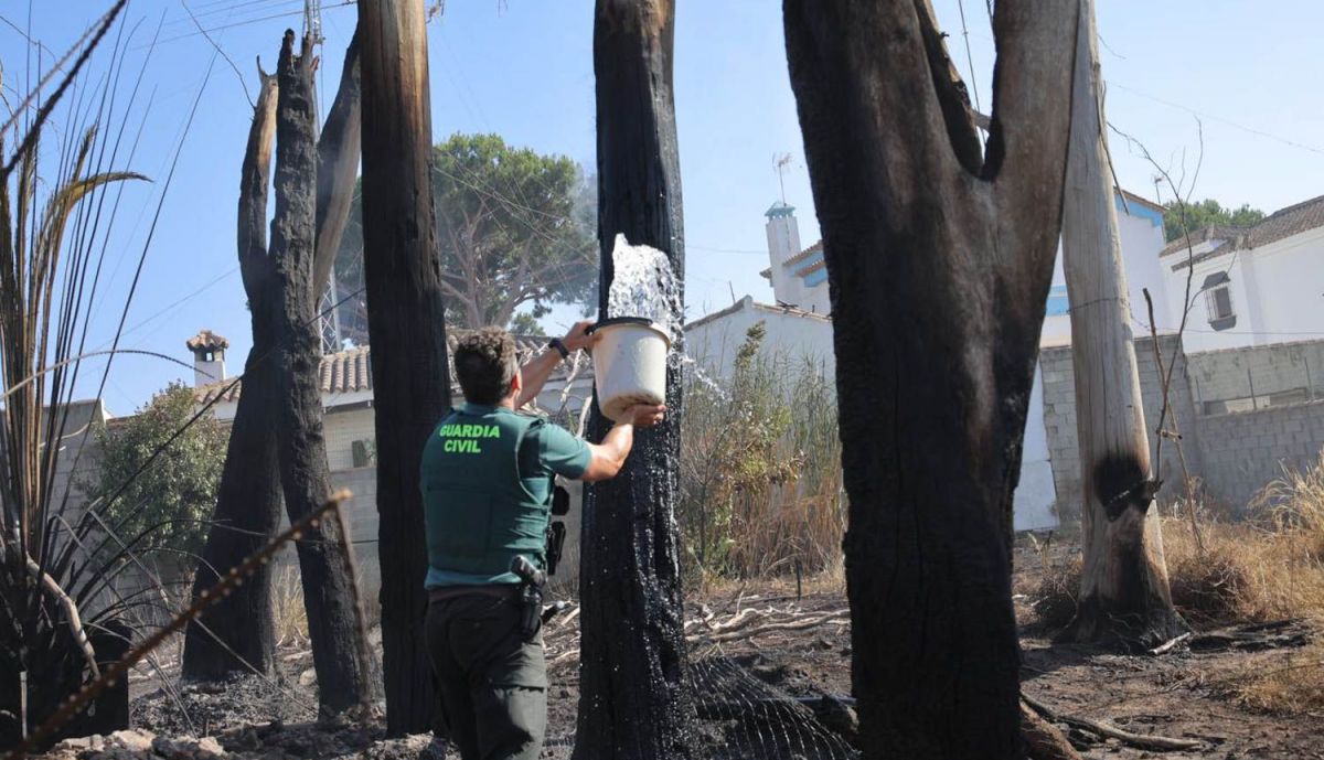INCENDIO CHICLANA 2025 14