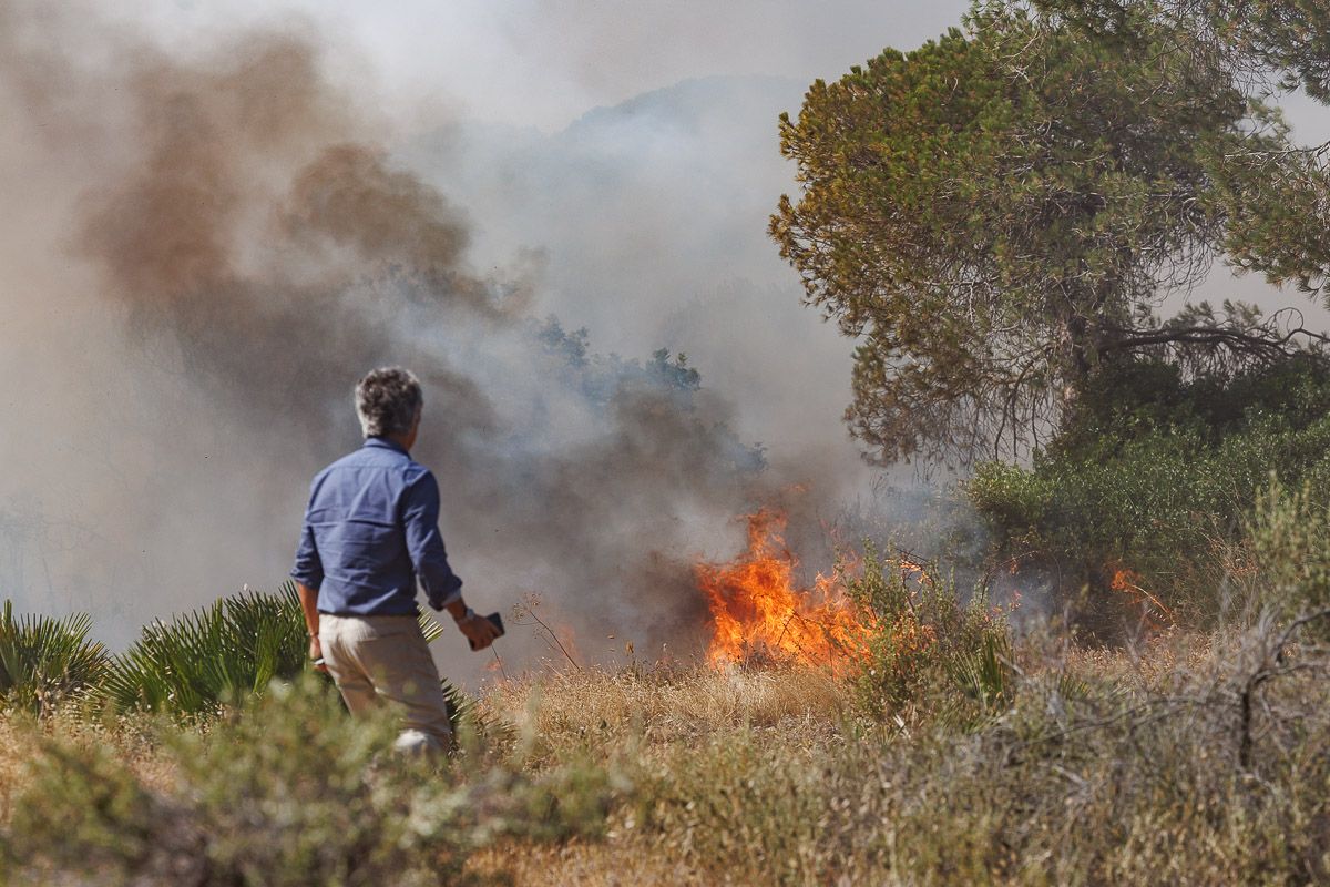 Estragos del incendio originado en Chiclana este martes 1 de julio. Estragos del incendio originado en Chiclana este martes 1 de julio.