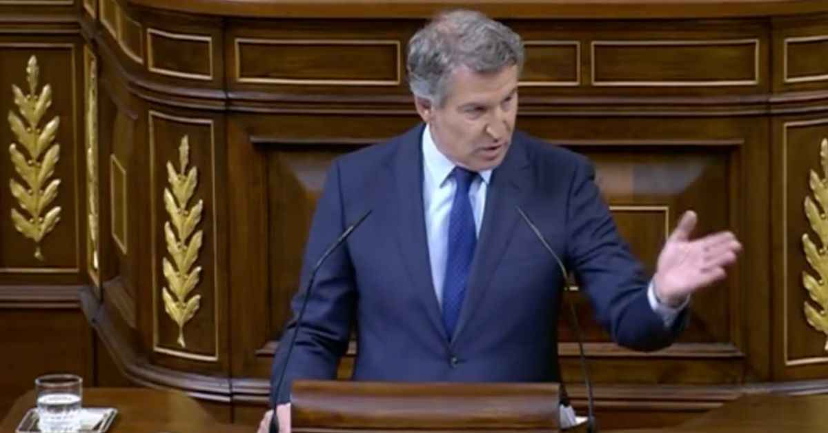 Feijóo, durante su comparecencia en el Congreso de los Diputados.