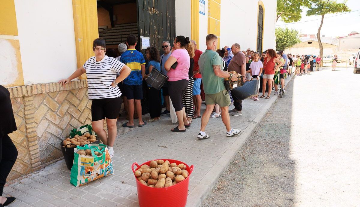 Papas Lebrija  19