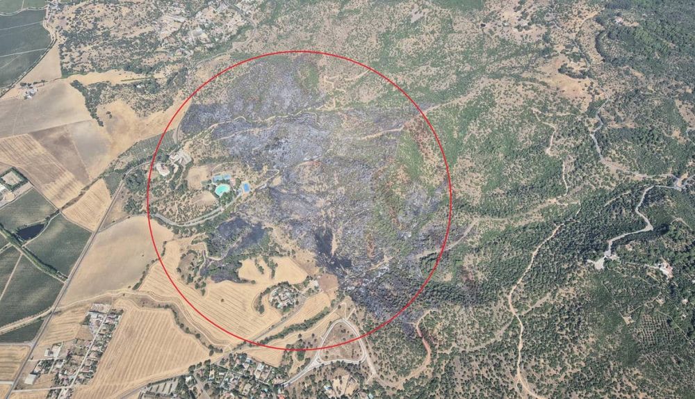 La superficie quemada en el incendio de Córdoba. (1)