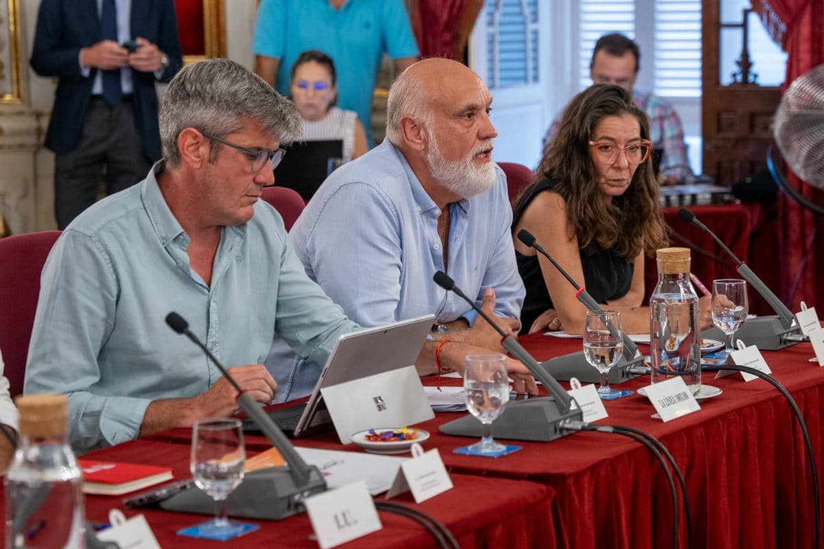 Javier Vidal, de La Línea 100x100, durante el pleno de Diputación.