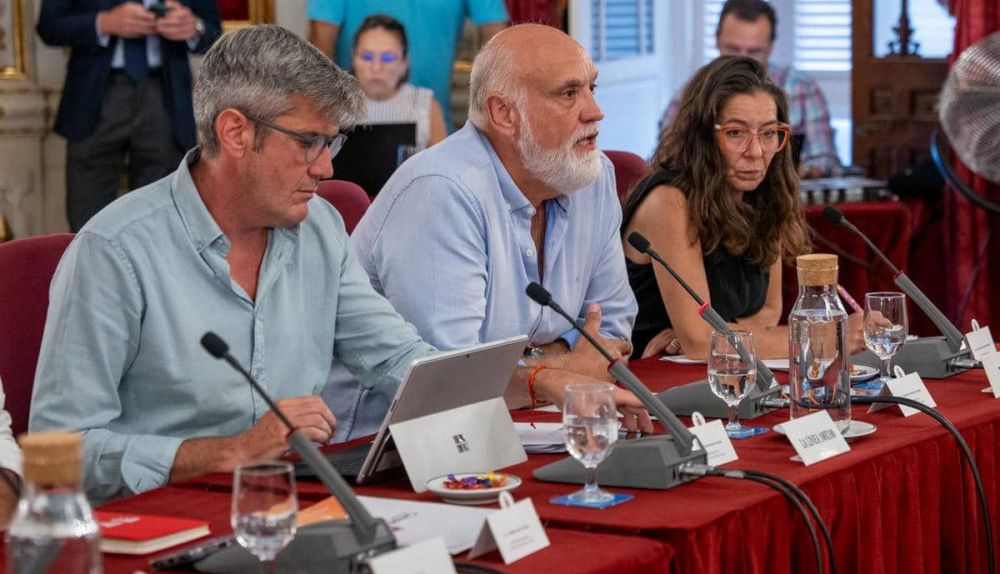 Javier Vidal, de La Línea 100x100, durante el pleno de Diputación.