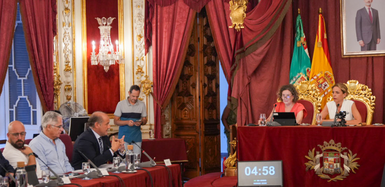 Imagen del pleno de la Diputación de Cádiz del miércoles.
