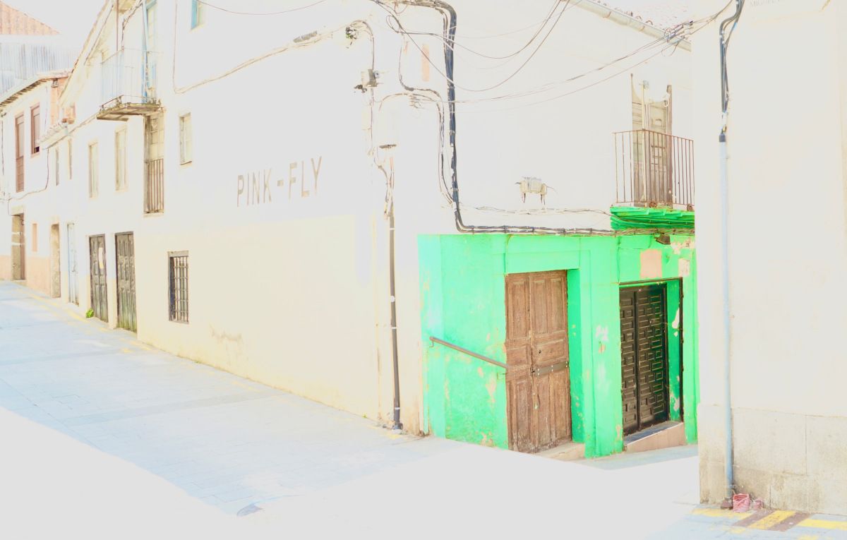 La alegría del color en medio de una intensa canícula.