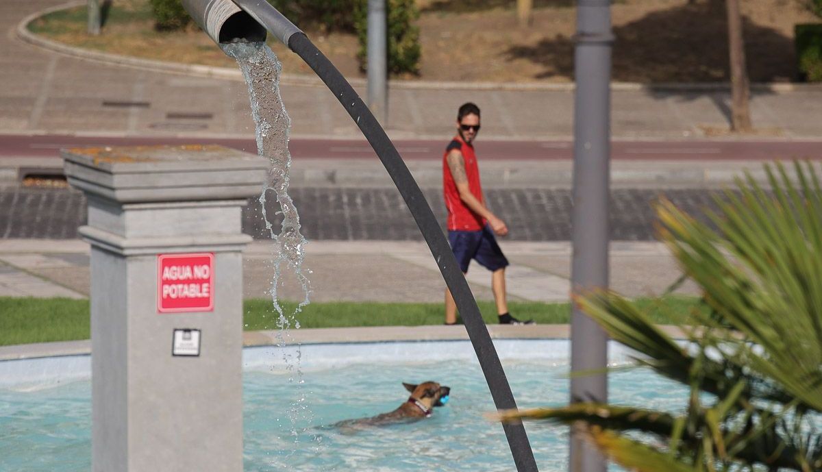 Ola de Calor