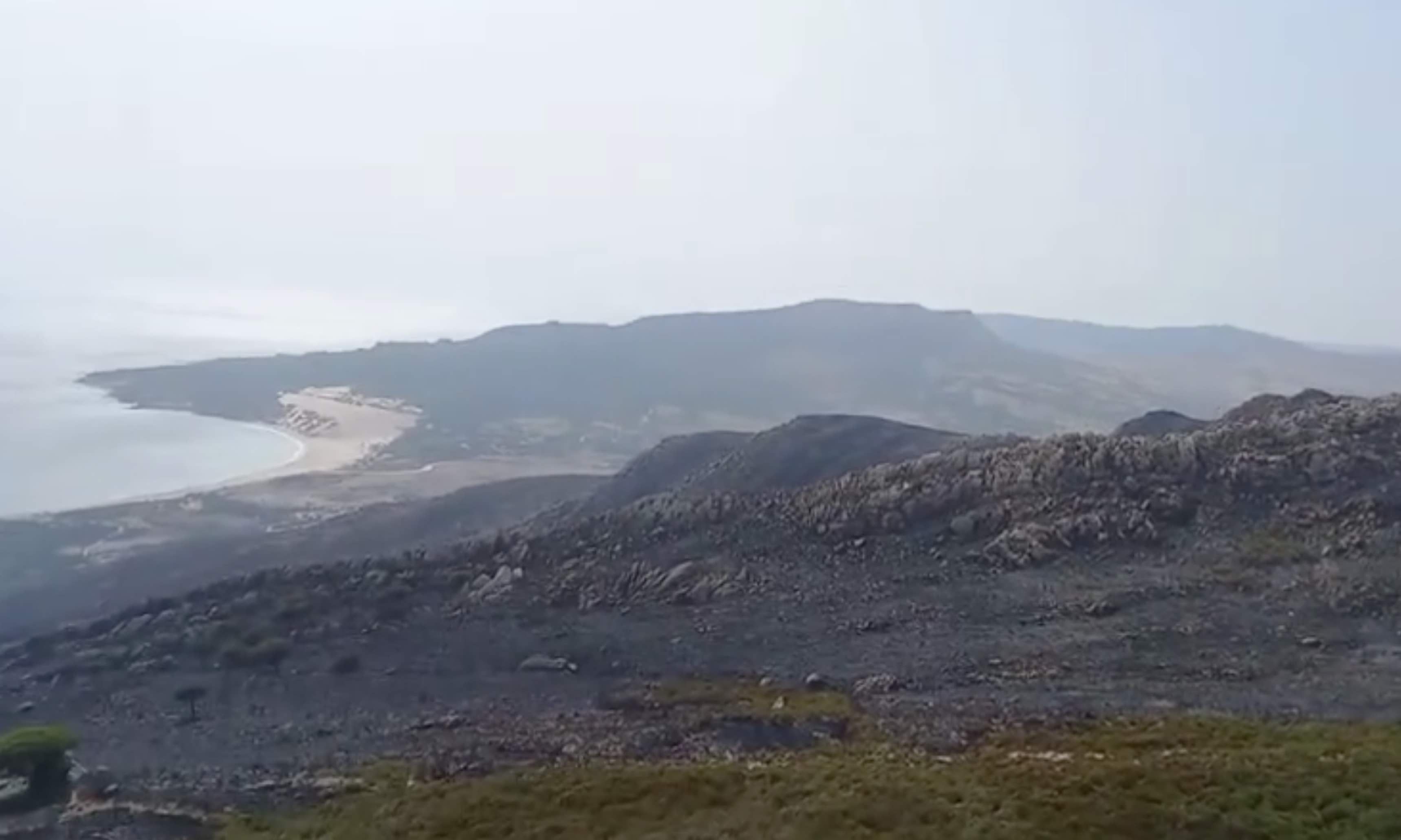 Varias hectáreas de monte quemado en Tarifa.