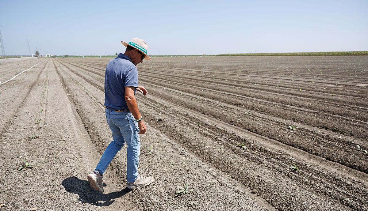 Agricultores Lebrija  20