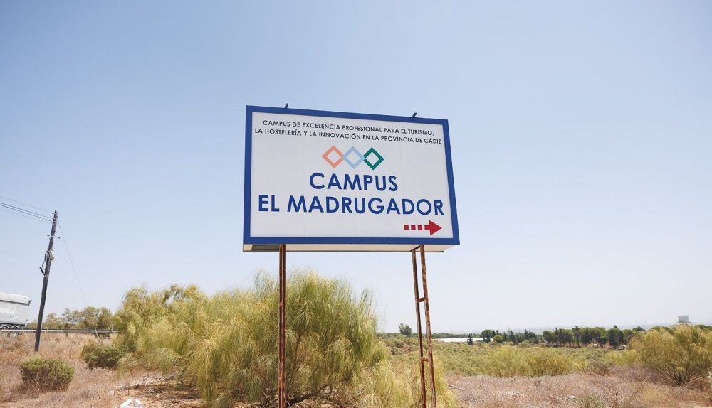 Campus el Madrugador  4