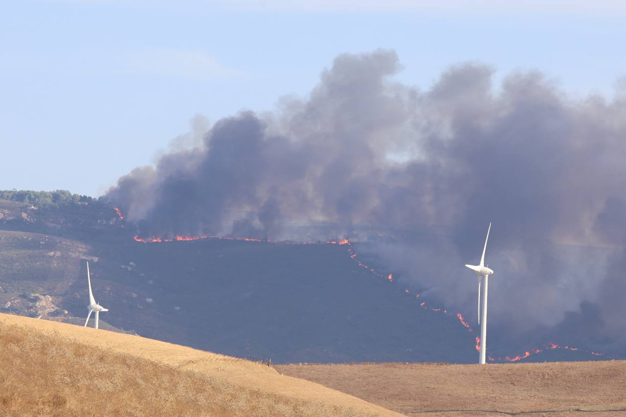 Monte quemado tras el incendio desatado en Atlanterra, Tarifa, este verano.