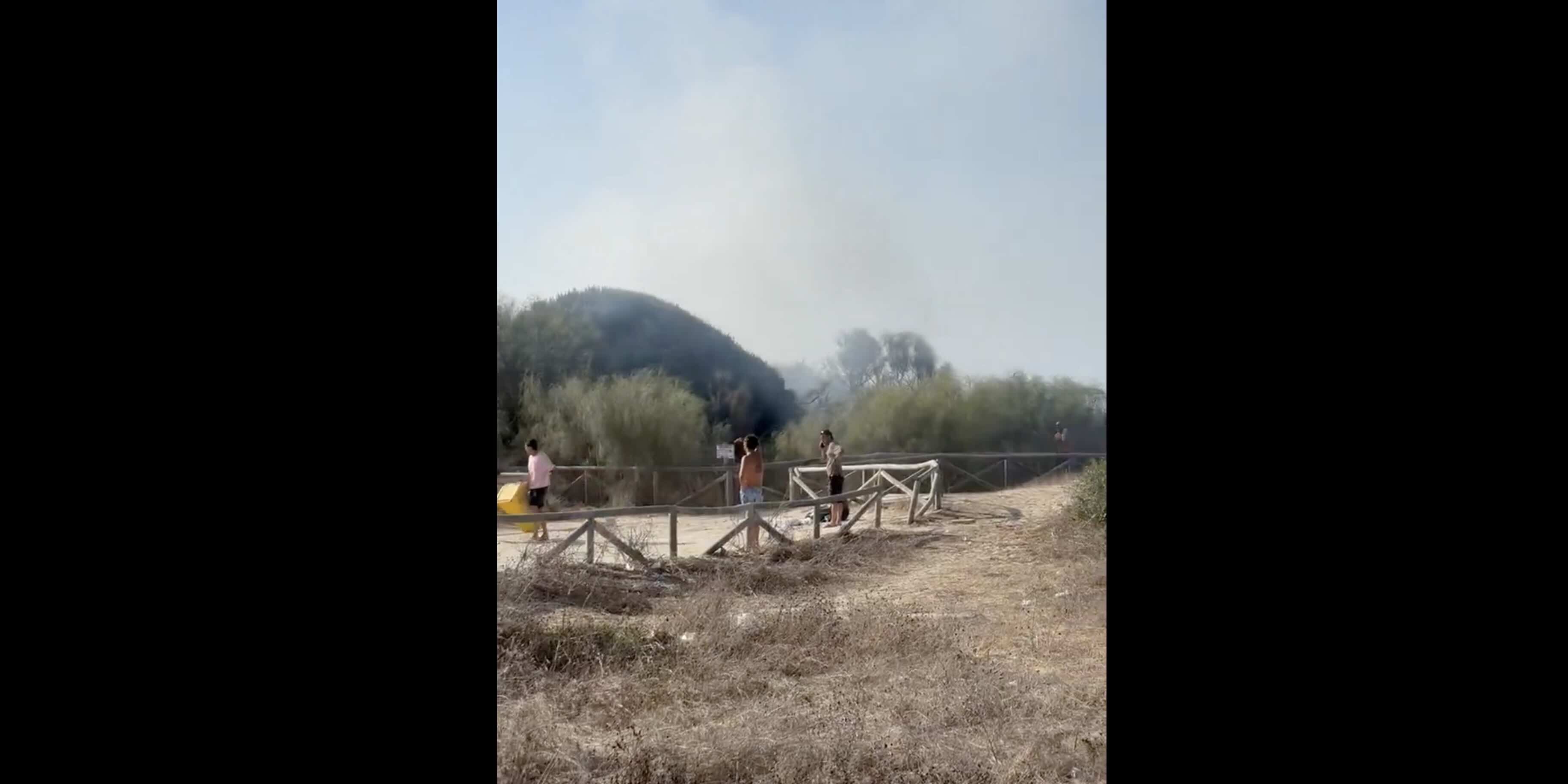 Conato de incendio forestal en los Caños de Meca.